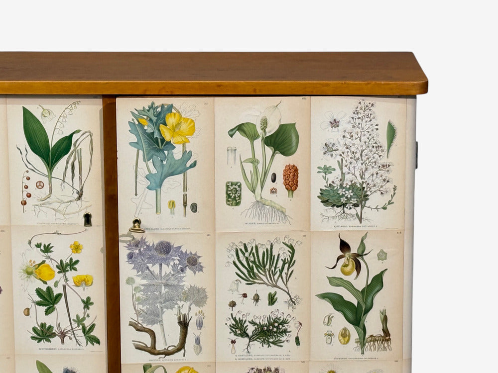 Swedish Modern, Nordens Flora Cabinet, Birch, Floral Lithographs, Sweden, 1940s