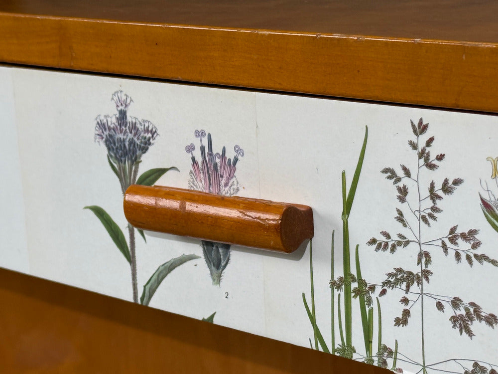 Swedish Modern, Nordens Flora Bookcase, Birch, Floral Lithographs, Sweden, 1940s