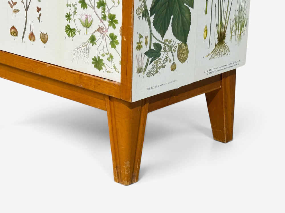 Swedish Modern, Nordens Flora Bookcase, Birch, Floral Lithographs, Sweden, 1940s