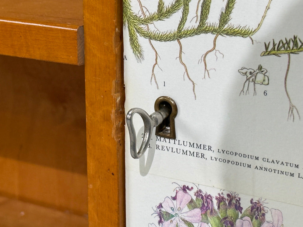 Swedish Modern, Nordens Flora Bookcase, Birch, Floral Lithographs, Sweden, 1940s