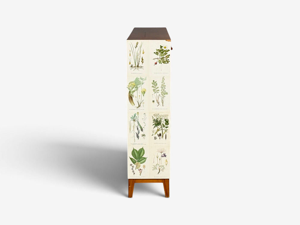 Swedish Modern, Nordens Flora Bookcase, Birch, Floral Lithographs, Sweden, 1940s