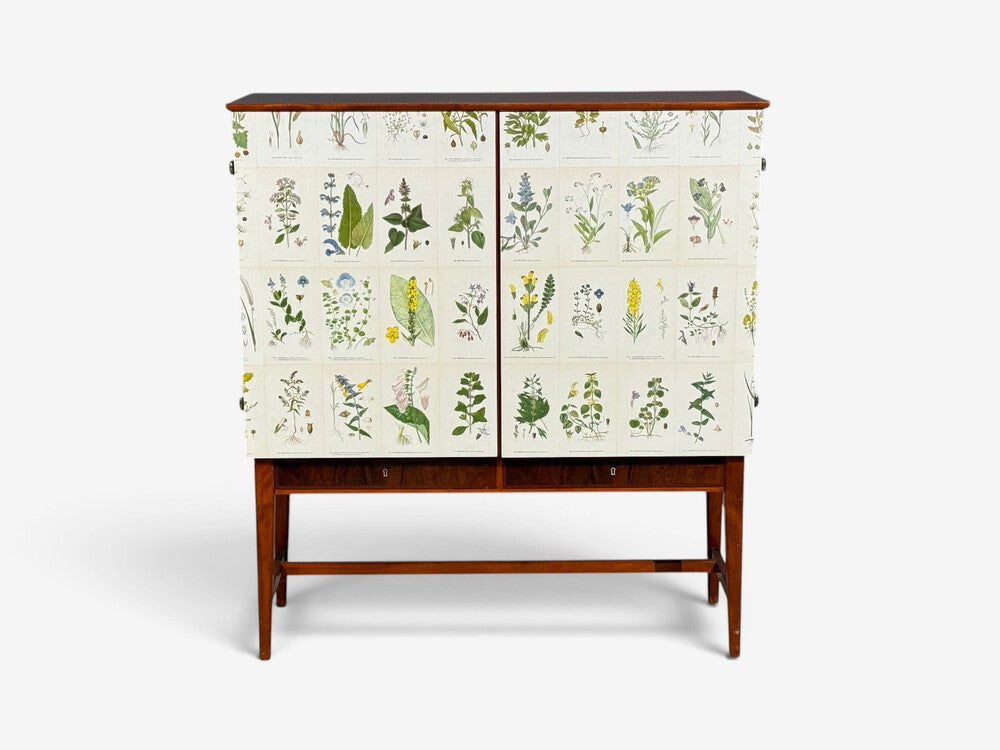 Swedish Modern, Nordens Flora Cabinet, Birch, Floral Lithographs, Sweden, 1940s