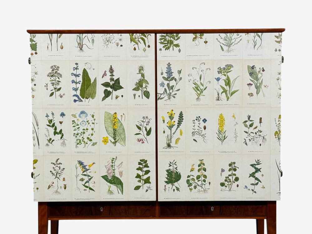 Swedish Modern, Nordens Flora Cabinet, Birch, Floral Lithographs, Sweden, 1940s