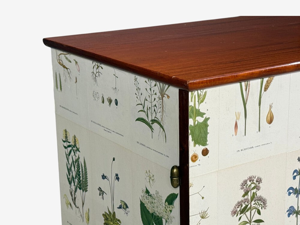 Swedish Modern, Nordens Flora Cabinet, Birch, Floral Lithographs, Sweden, 1940s