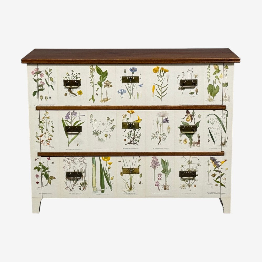 Swedish Modern, Nordens Flora Dresser, Brass, Floral Lithographs, Sweden, 1930s