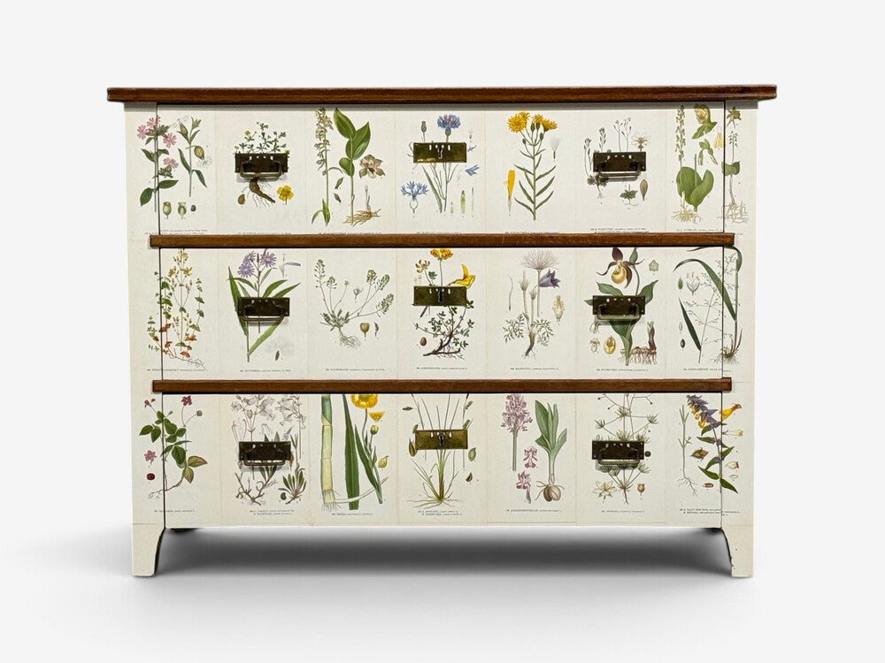 Swedish Modern, Nordens Flora Dresser, Brass, Floral Lithographs, Sweden, 1930s