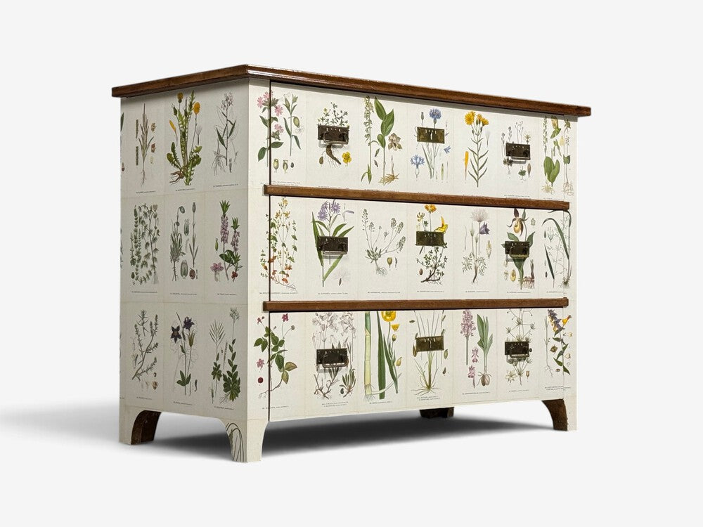 Swedish Modern, Nordens Flora Dresser, Brass, Floral Lithographs, Sweden, 1930s