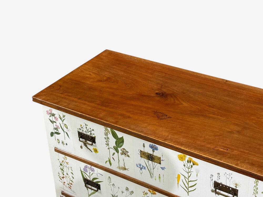 Swedish Modern, Nordens Flora Dresser, Brass, Floral Lithographs, Sweden, 1930s