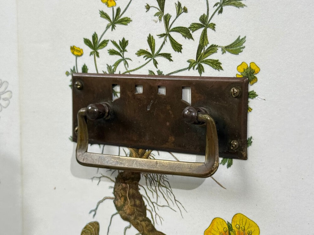 Swedish Modern, Nordens Flora Dresser, Brass, Floral Lithographs, Sweden, 1930s