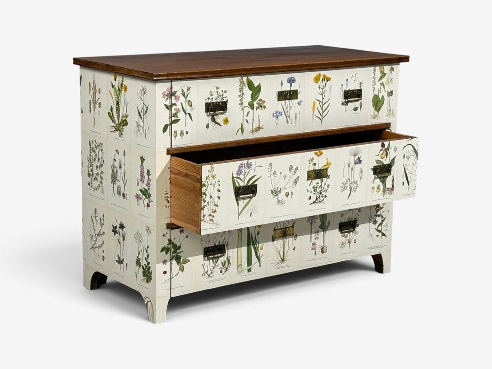 Swedish Modern, Nordens Flora Dresser, Brass, Floral Lithographs, Sweden, 1930s