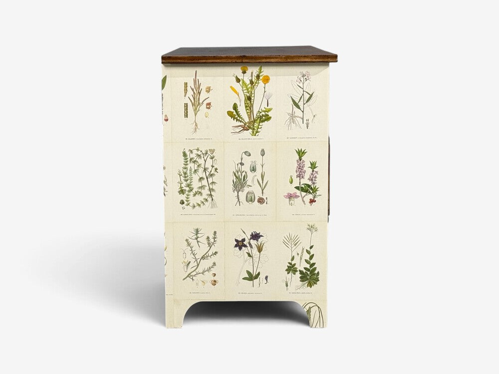 Swedish Modern, Nordens Flora Dresser, Brass, Floral Lithographs, Sweden, 1930s