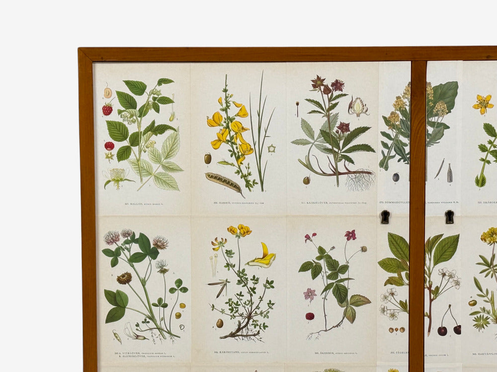 Swedish Modern, Nordens Flora Cabinet, Brass, Floral Lithographs, Sweden, 1930s