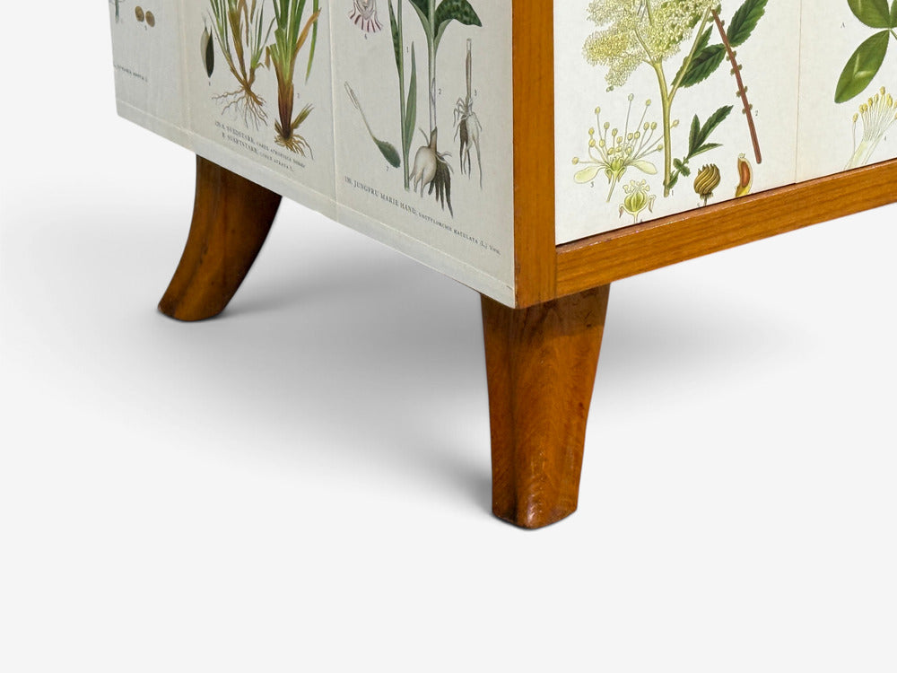 Swedish Modern, Nordens Flora Cabinet, Brass, Floral Lithographs, Sweden, 1930s