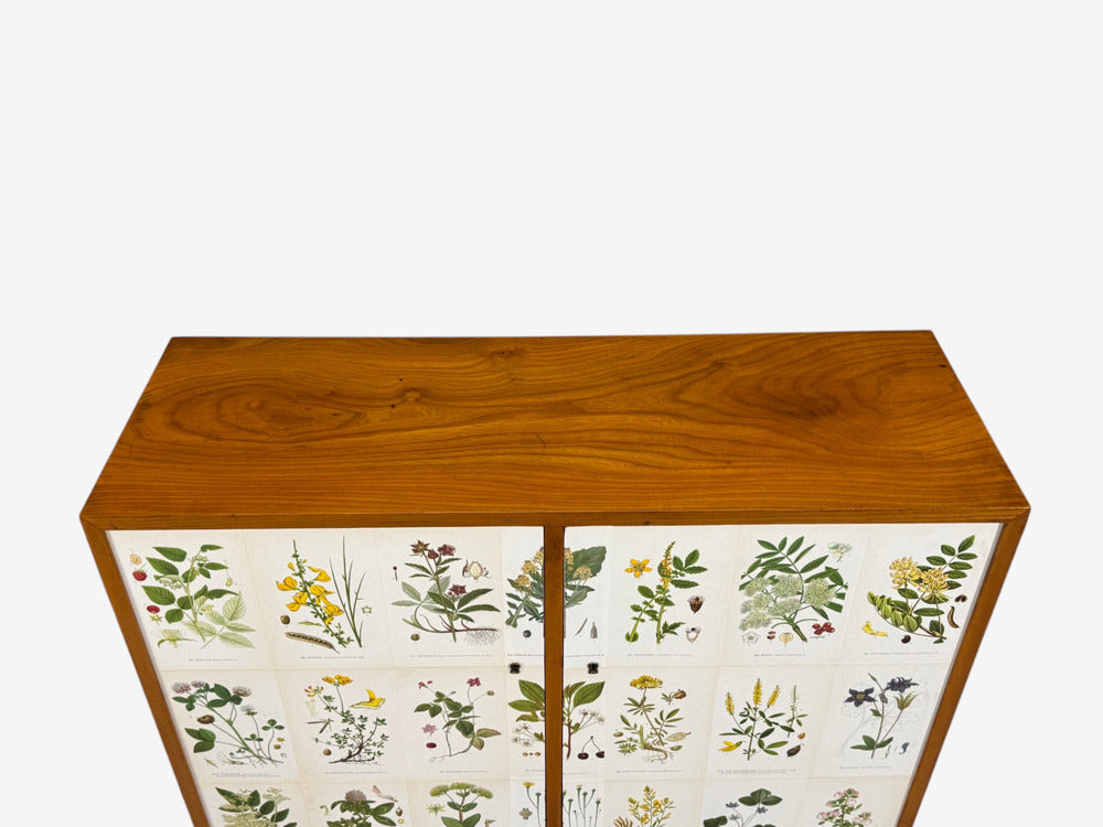 Swedish Modern, Nordens Flora Cabinet, Brass, Floral Lithographs, Sweden, 1930s
