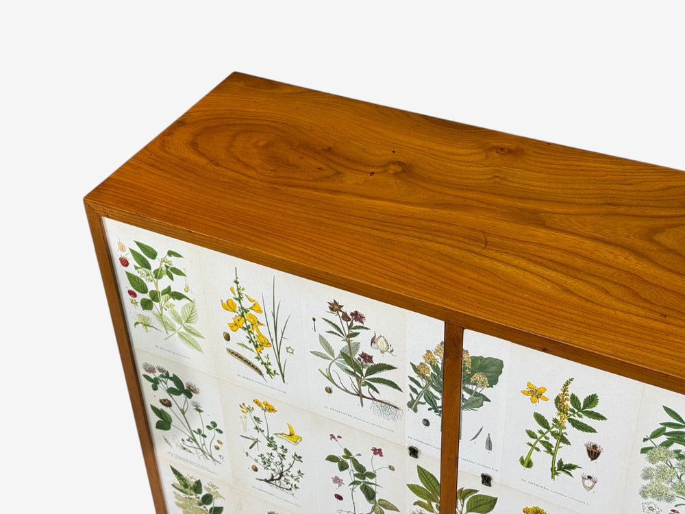 Swedish Modern, Nordens Flora Cabinet, Brass, Floral Lithographs, Sweden, 1930s