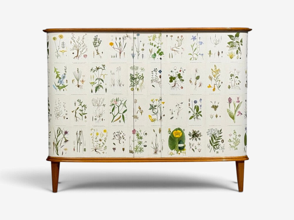 Swedish Modern, Nordens Flora Cabinet, Elm, Floral Lithographs, Sweden, 1940s