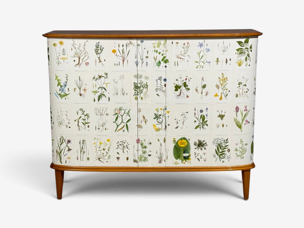 Swedish Modern, Nordens Flora Cabinet, Elm, Floral Lithographs, Sweden, 1940s