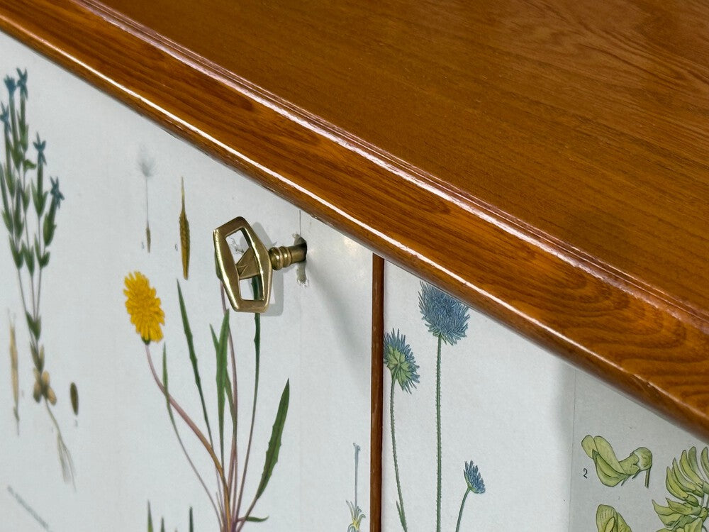 Swedish Modern, Nordens Flora Cabinet, Elm, Floral Lithographs, Sweden, 1940s