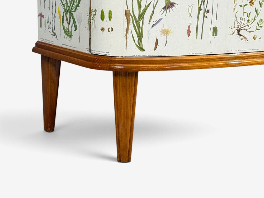 Swedish Modern, Nordens Flora Cabinet, Elm, Floral Lithographs, Sweden, 1940s