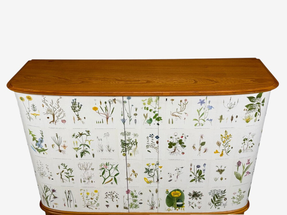 Swedish Modern, Nordens Flora Cabinet, Elm, Floral Lithographs, Sweden, 1940s