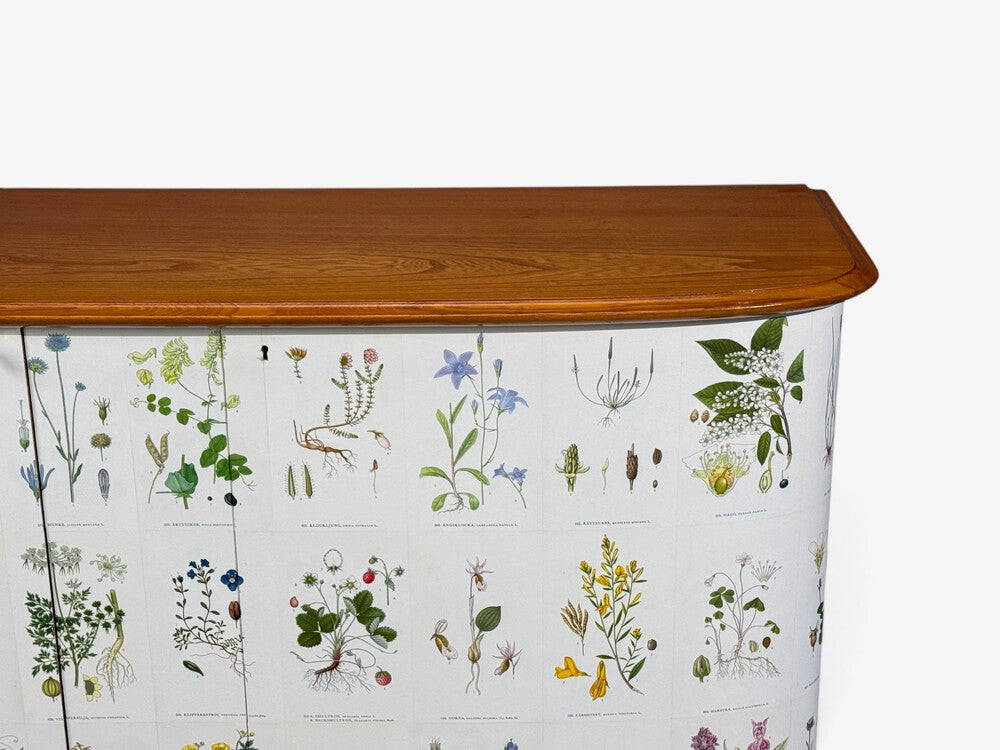 Swedish Modern, Nordens Flora Cabinet, Elm, Floral Lithographs, Sweden, 1940s