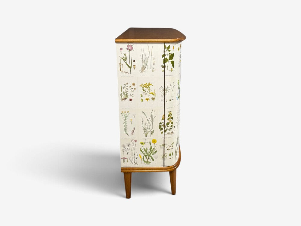 Swedish Modern, Nordens Flora Cabinet, Elm, Floral Lithographs, Sweden, 1940s