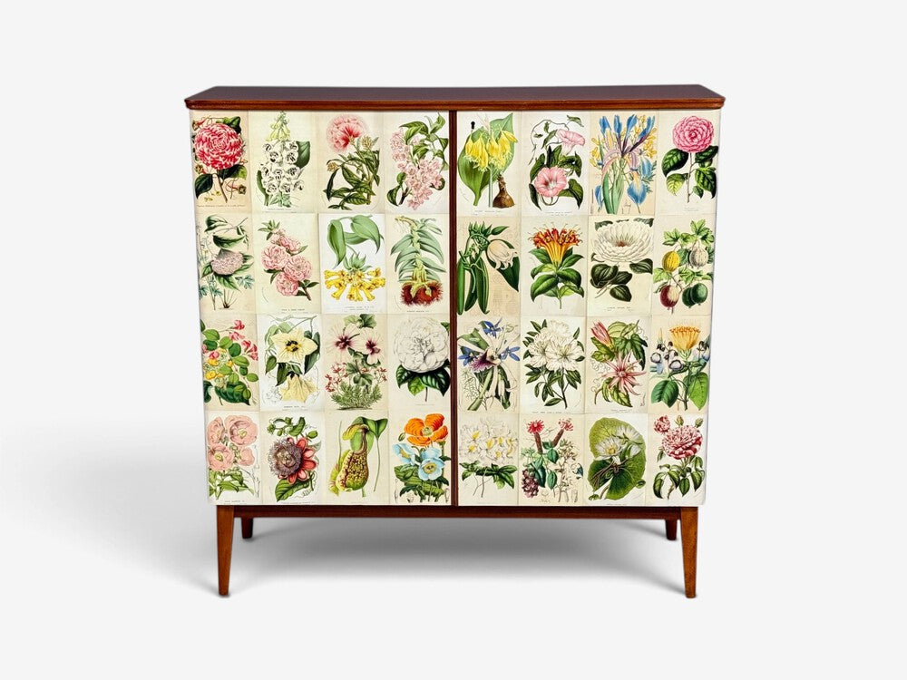 Swedish Modern, La Belgique Horticole Cabinet, Mahogany, Sweden, 1950s