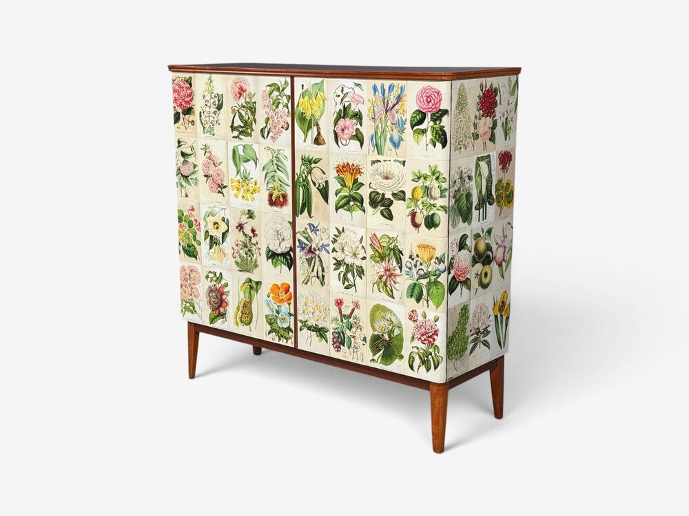 Swedish Modern, La Belgique Horticole Cabinet, Mahogany, Sweden, 1950s