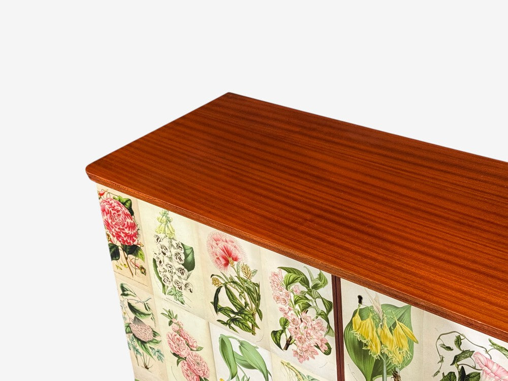 Swedish Modern, La Belgique Horticole Cabinet, Mahogany, Sweden, 1950s