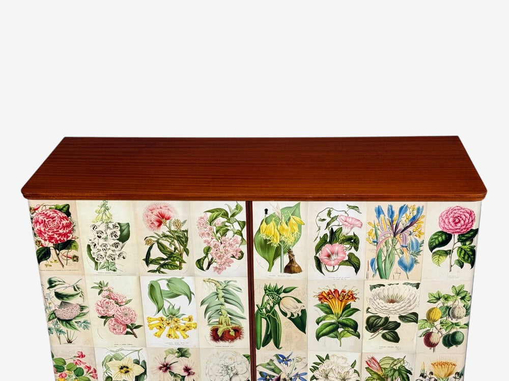 Swedish Modern, La Belgique Horticole Cabinet, Mahogany, Sweden, 1950s