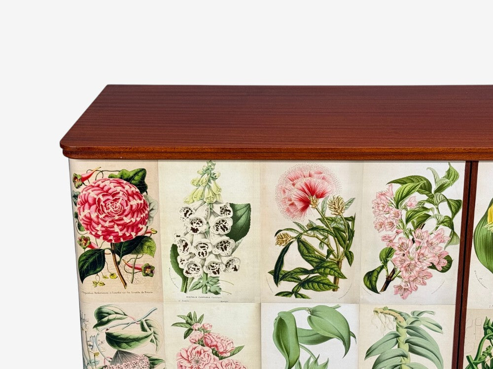 Swedish Modern, La Belgique Horticole Cabinet, Mahogany, Sweden, 1950s