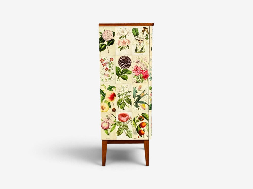 Swedish Modern, La Belgique Horticole Cabinet, Mahogany, Sweden, 1950s