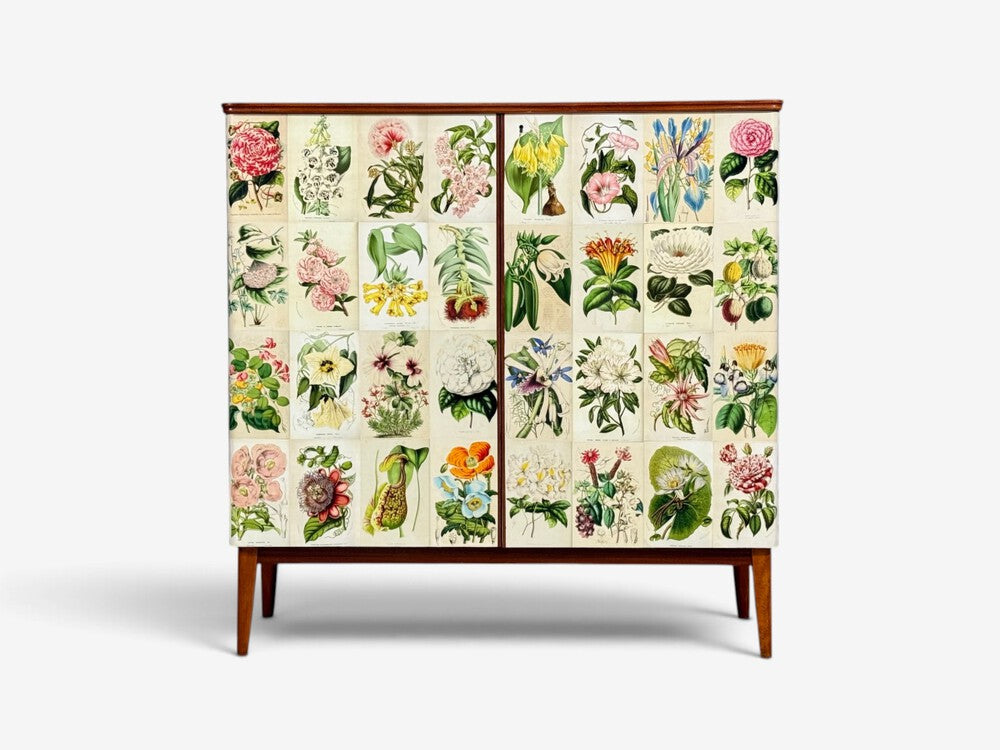 Swedish Modern, La Belgique Horticole Cabinet, Mahogany, Sweden, 1950s